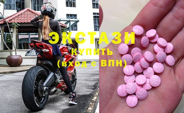 ECSTASY Алзамай