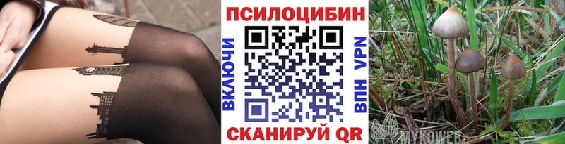 Галлюциногенные грибы прущие грибы где найти Малаховка